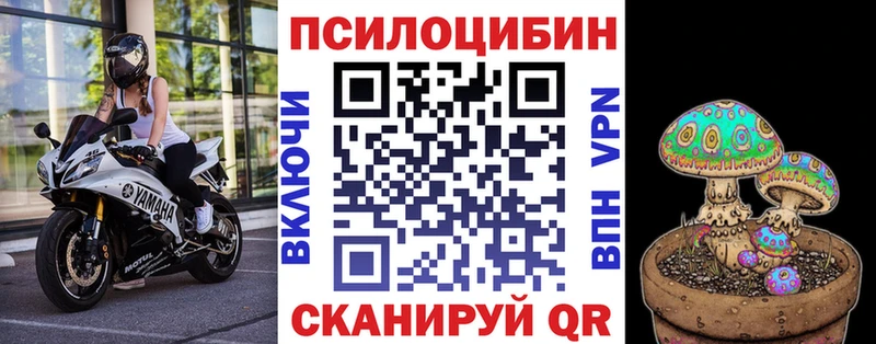 Псилоцибиновые грибы Psilocybe  Суворов 